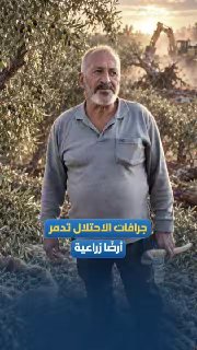 דחפורי כיבוש הורסים אדמות חקלאיות בעיירה אל-וואלאג'ה, ממערב לבית לחם.
