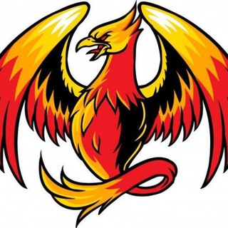 FENIX SMS E SEGUIDORES GROUP
