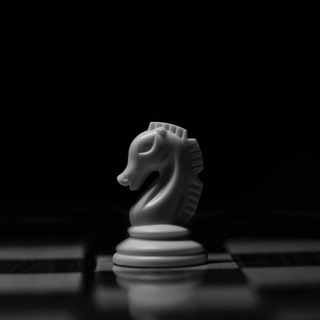 Xadrez BR Telegram Group Link