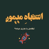 اشتباه میمون | عارف عبادی