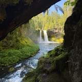 PNW nature and aesthetics