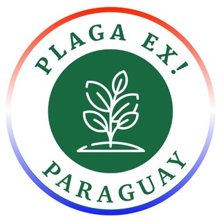 Plaga Ex! Paraguay
