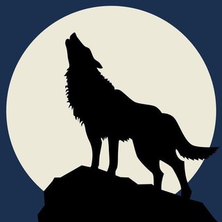 BlackWolf Avisos (pt-BR) Telegram Group Link