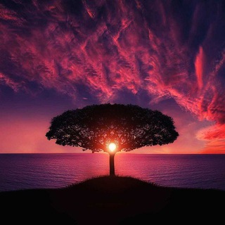 Gnosis Despertar Espiritual