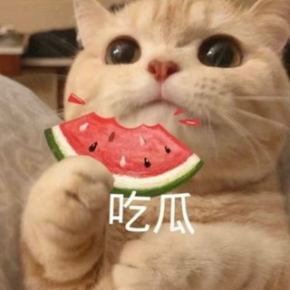 吃瓜八卦🍉暴走大事件
