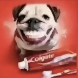 𝐒𝐀𝐘𝐌𝐄 𝐄𝐃𝐈𝐓𝐒