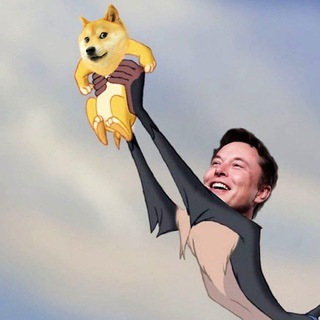 Elon Musk Pumps avatar