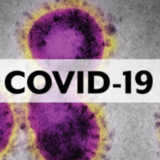 CasosCovid-19 Telegram Group Link