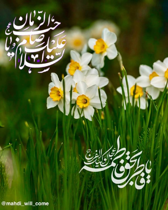 او می‌آید: السلام علیک یا صاحب الزمانبخوان دعای فرج را تا که یار برگرددبخوان دعای فرج را که شب, سحر گرددبخوان دعای فرج را اگر که می