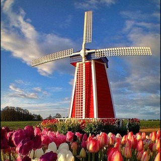 Bitcoin Holland Telegram Group Link