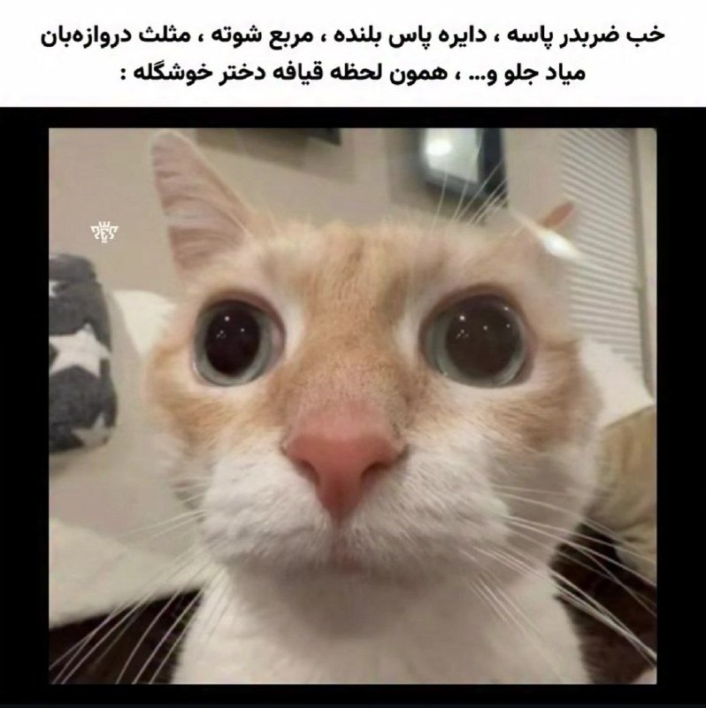 پته مته | Patemate: واقعا سخت نیس 🥹😂😂😂😈 @Patemate_Official | #mmd