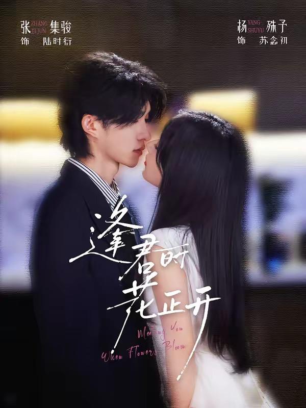 名称：2026年8月19日 短剧更新目录2