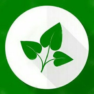 Biologia Vegetal