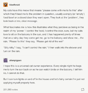 我家猫咪们有一种特别的喵喵叫，意思就是“快来帮我解决这个问题”。它们会一边喵喵叫着一边把我带到出问题的地方，比如一个空的猫碗，一扇关着的门，然后希望我给它们加粮或者开门。它们会看看出问题的地方，再看看我，然后确保我理解它们的需求。很有意思的是，它们对于我能做什么有着很广泛的理解。是的，我能给它们加食物，我能开门关门，但它们觉得我也能控制降雨。我家猫咪们喜欢晒太阳，所以下雨天它们就会把我带到阳台，然后对着雨喵喵叫。意思就是叫我快点把雨停掉。傻猫。我叹气。我怎么可能控制降雨呢？下一分钟，它们看着我走进浴室打开莲