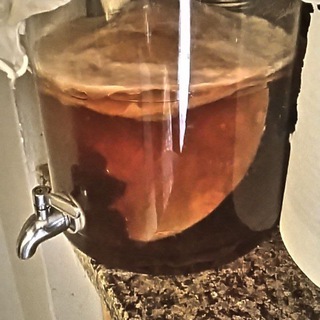 IAF - Fermentation 🧀 🍻 Telegram channel profile photo