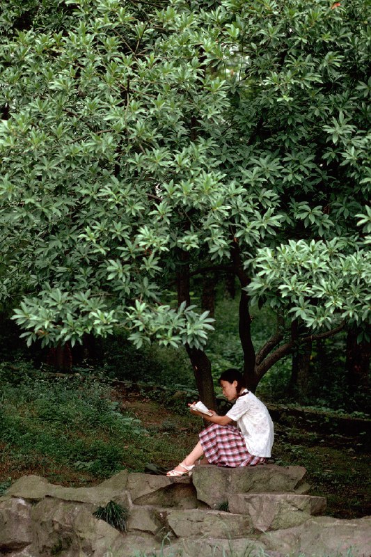 1981年杭州（摄影师 Bill Hocker） source1981年杭州（摄影师 Bill Hocker） source