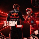 NAISAM