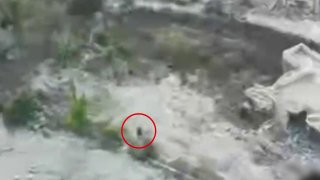 🔴 צבא השבוי של ישראל (צה"ל) הודיע כי מוקדם יותר היום, לוחם הנאשם בחיזבאללה נהרג על ידי כוחות היבשה של צבא…