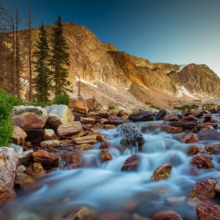 Wyoming First NEWS Telegram Group Link