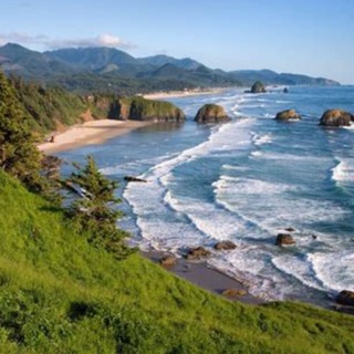 Oregon State Assembly group chat Telegram Group Link