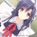 落花の动态快报～