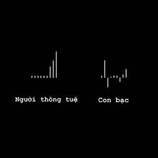 BC TRADE COIN | CHAT