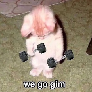 $gim CTO