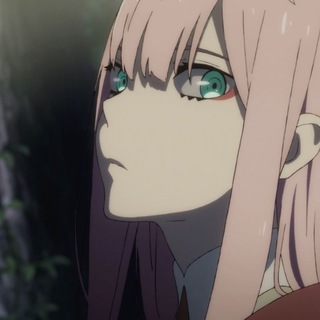 夏天无 Telegram Group Link