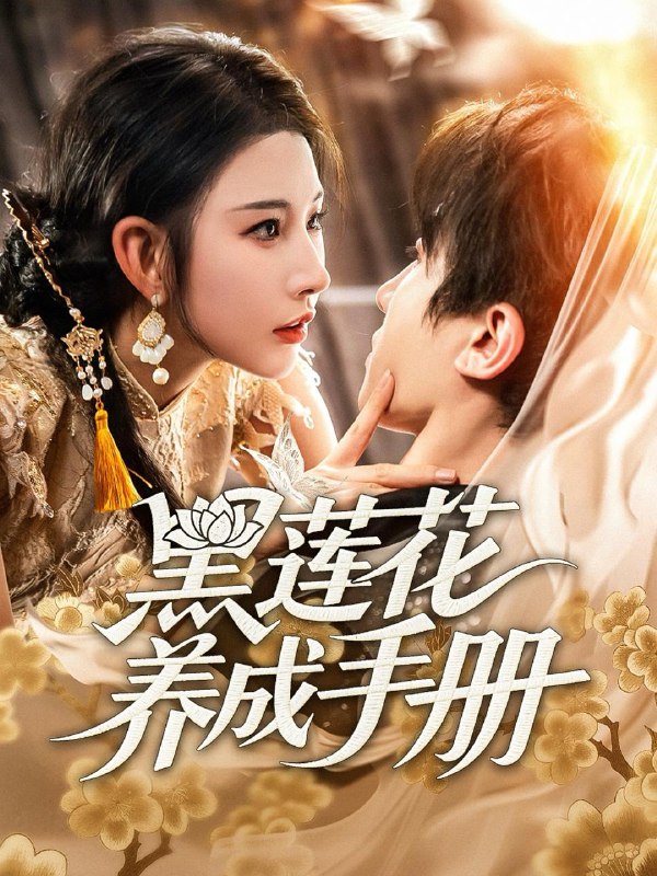 2025年7月20日合集目录3