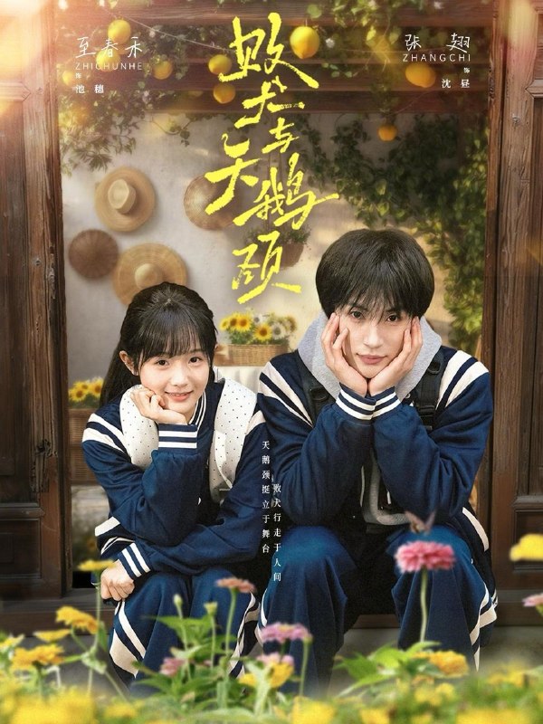 名称：2026年5月3日 短剧更新目录2