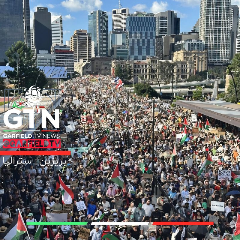 گارفیلد تی‌وی|GarfieldTV: 🇦🇺امروز در استرالیا ملت خواستار تحریم رژیم صهیونیستی و به رسمیت شناختن فلسطین شدند🥫🦘خرسی با تبدیل شدن به کانگورو: My fel
