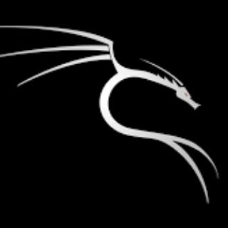 KALi & TERMUX SECURITY