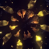 Zorchwave Archive