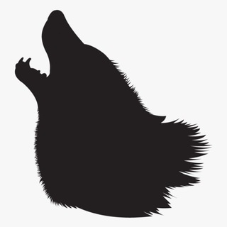 quarentena dos trouxas Telegram Group Link