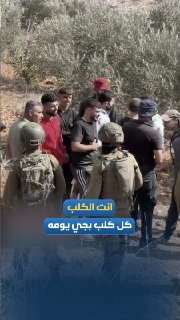 מתנחלים חוזרים על המשפט של אחמד אלטיבי: "לכל כלב יש את היום שלו". ומשיב להם חקלאי פלסטיני מביתה מדרום לשכם.