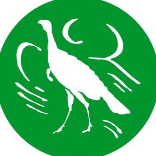 Telegram profile photo for The American Spectator