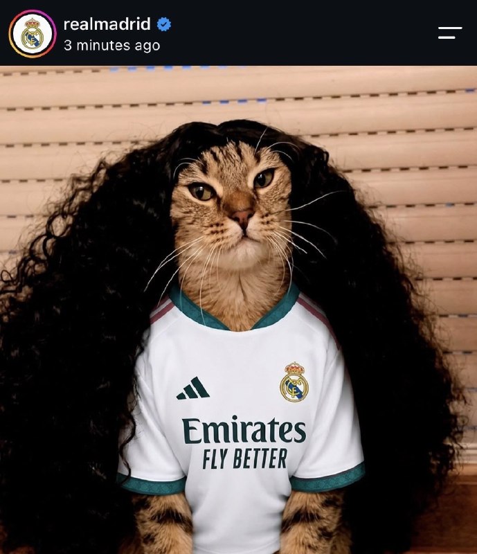 رئال مادرید | Real Madrid C.F: پست جدید باشگاه. 😂😂🆔 @RealMadridFans🇪🇸| @RealMadridTweet | #mt