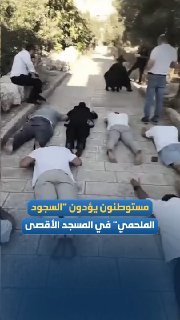 מתנחלים מבצעים "השתטחות אפית" במסגד אל-אקצא המבורך.