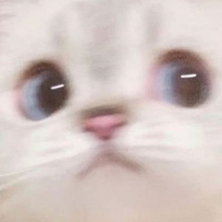 梨老师交流群