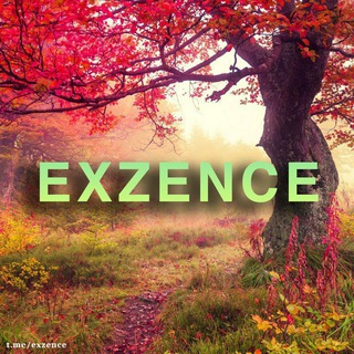 Exzence DB ®