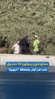 Under the eyes of the occupation soldiers..