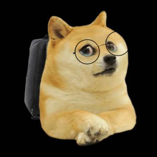 RARE DOGE 🐕 Sales Tracker Telegram Group Link