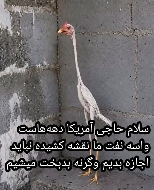 رادیوکصشر: 😂😂😂😂😂😂😂