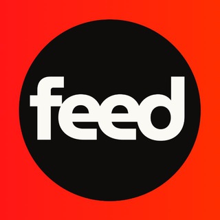 Feed Brasil Telegram Group Link
