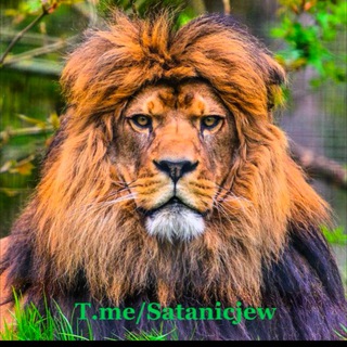 Lion’s Den for Truth🦁Chat