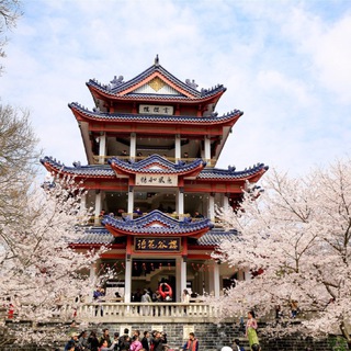 无锡小笼包 Telegram Group Link