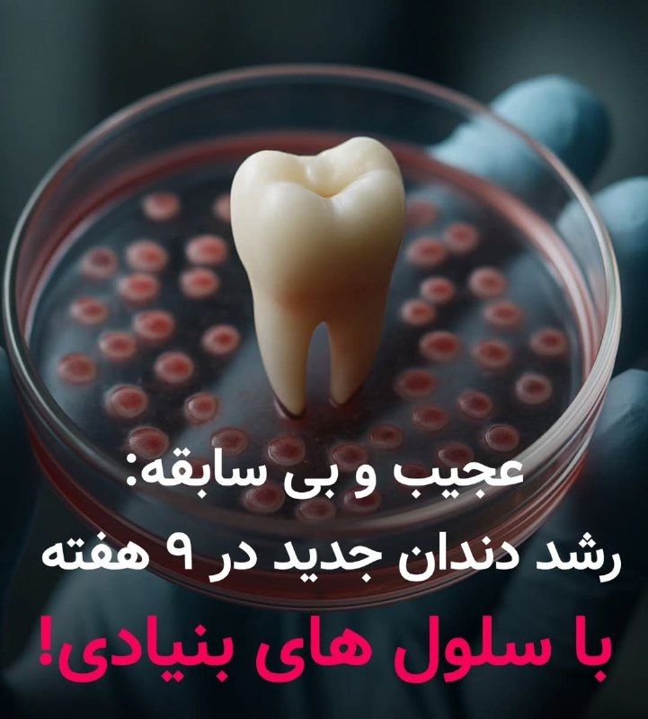 داستان های کیری...!: دانشمندان اخیراً روشی نوآورانه برای جایگزینی دندان‌های از دست رفته معرفی کرده‌اند که می‌تواند آینده دندان‌پزشکی را متحول
