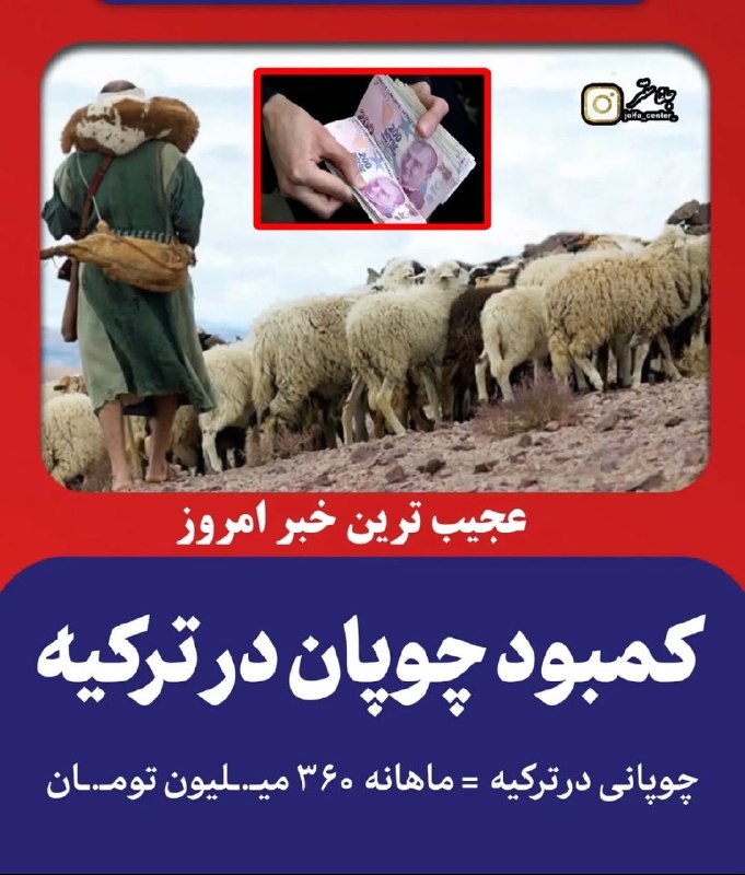 لبخنداجباري: ترکیه چوپان استخدام میکنه با حقوق ماهی ۳۶۰ میلیون.