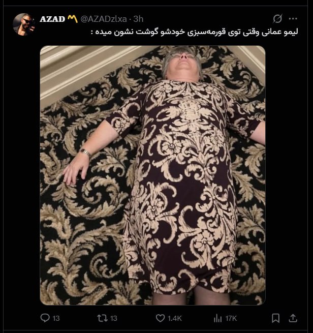pussy&poem: رسانه پست