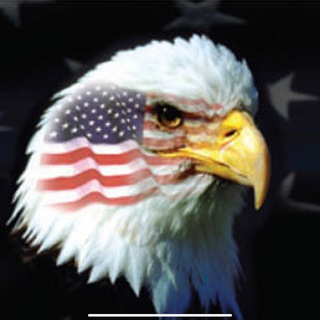 Delaware Patriots United Telegram Group Link